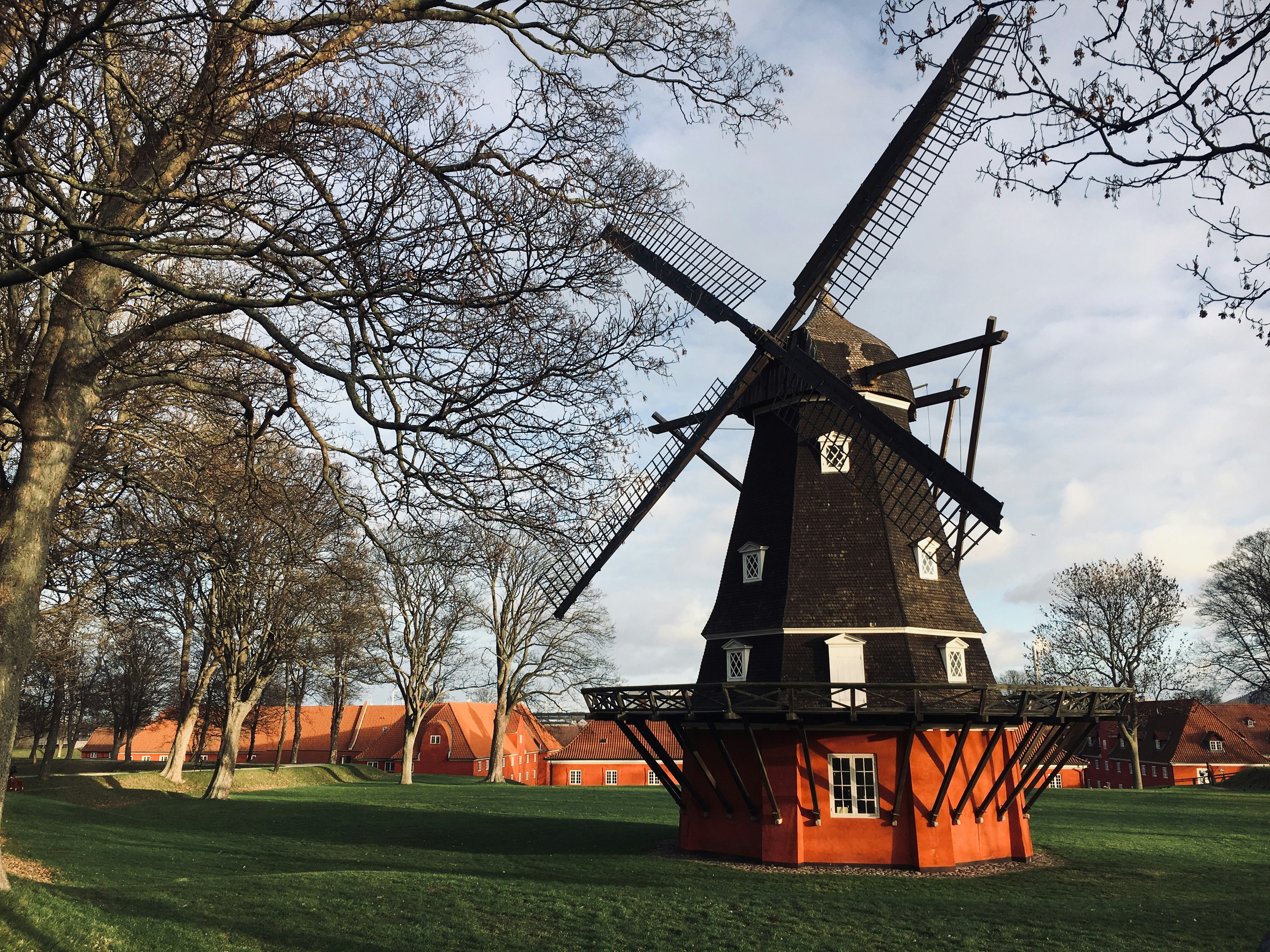 black and orange windmill near trees